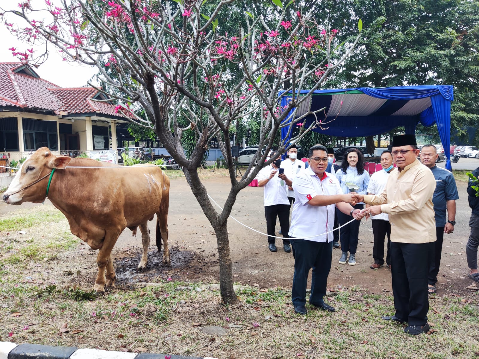 MAHKAMAH AGUNG RI POTONG 15 EKOR HEWAN KURBAN